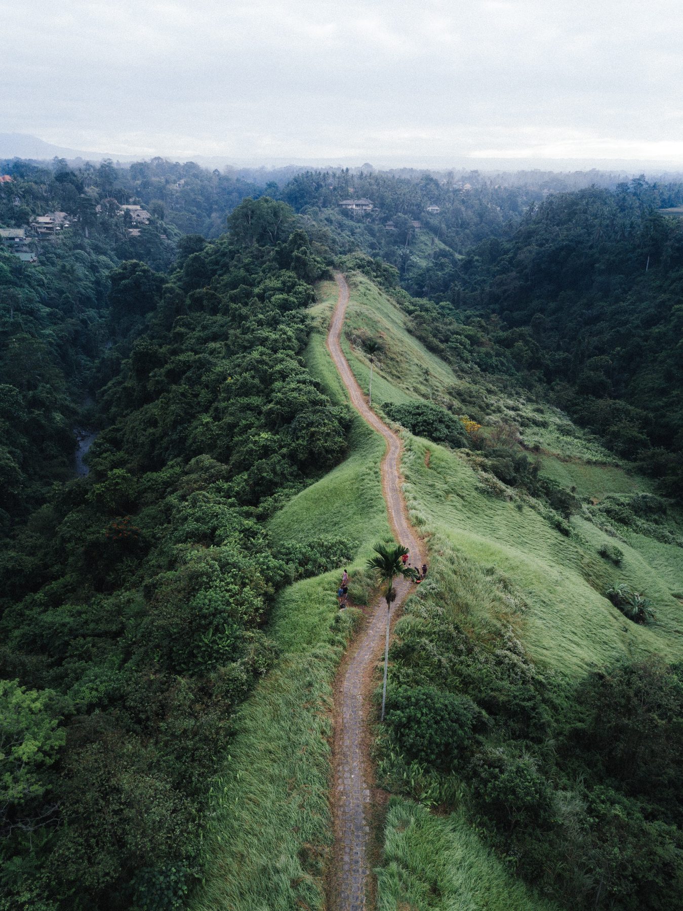 A path running along a green ridge, seen from above