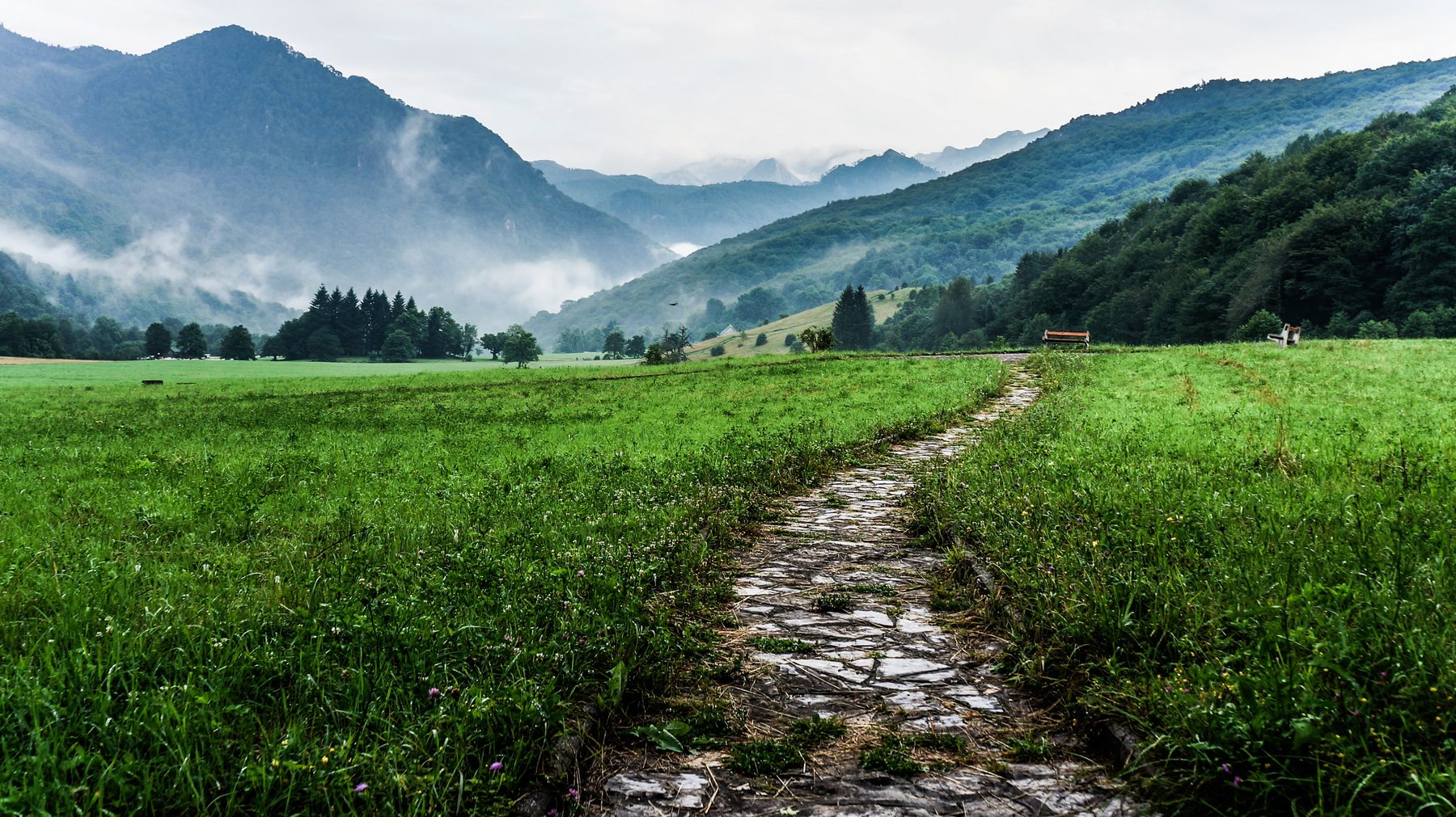 A stone path through a meadow toward misty mountains